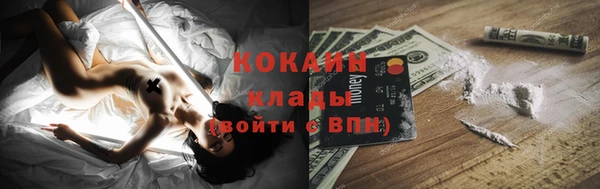 мяу мяу мука Гусев