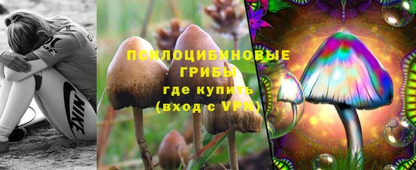 мяу мяу мука Гусев