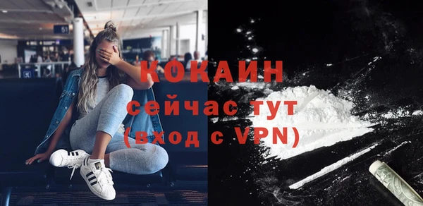 сатива Наволоки