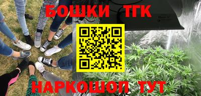 стаф Канаш