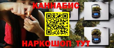 сатива Камышлов