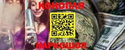 сатива Камышлов