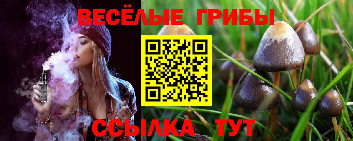 Псилоцибиновые грибы мухоморы  где найти наркотики  Вход с VPN  Бутурлиновка  Псилоцибиновые грибы ЛСД 